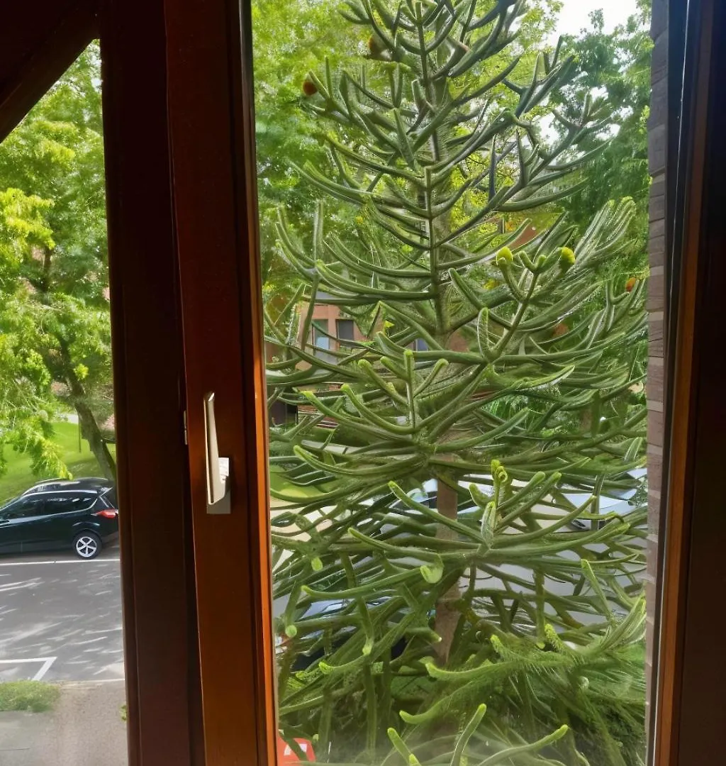 Gartenblick-Oase: Obergeschosswohnung In Hambourg Appartement